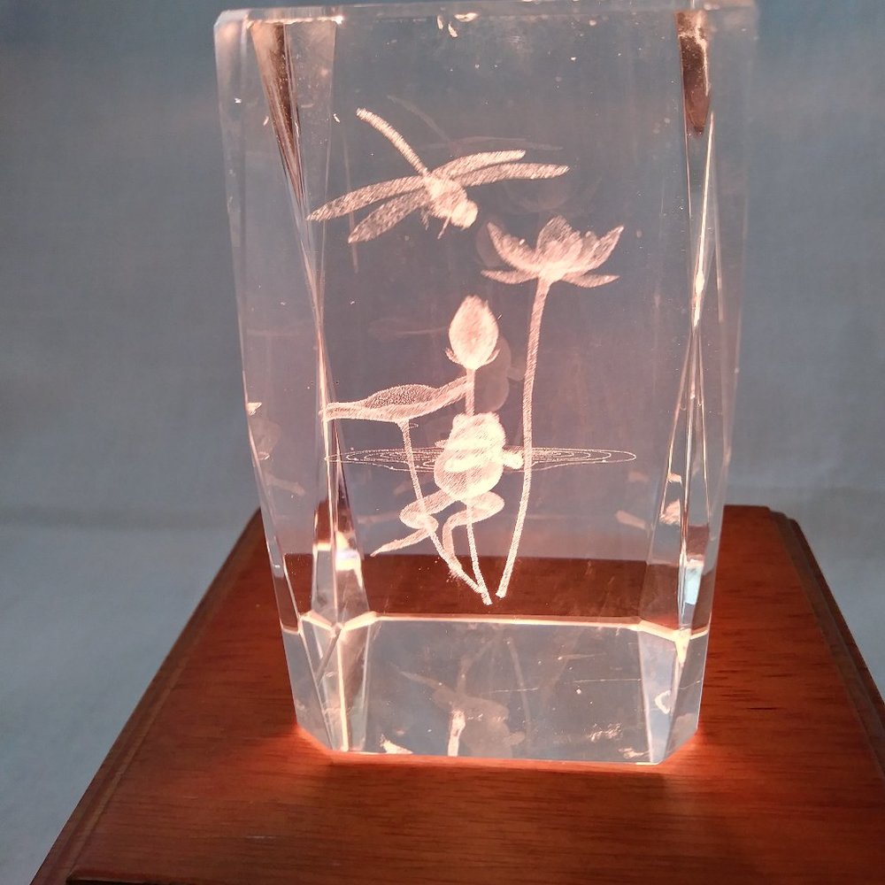 Frog Dragonfly Crystal Paperweight Laser Cut